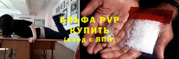 стаф Дмитров