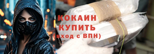 mdpv Ельня