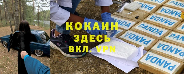 спиды Елизово
