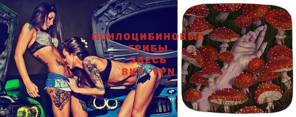 спиды Елизово