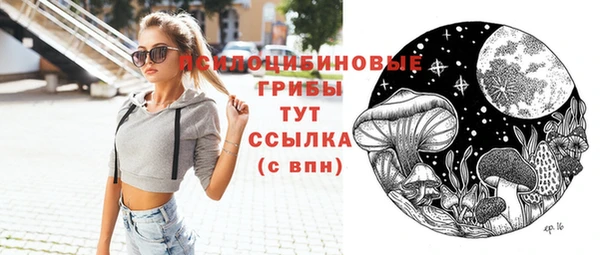 mdpv Ельня