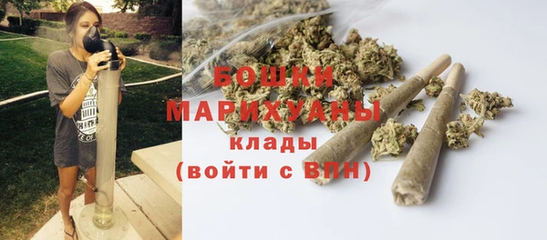mdpv Ельня