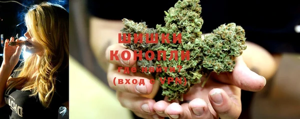 mdpv Ельня