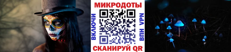 Купить где  Киржач  Галлюциногенные грибы Psilocybine cubensis 