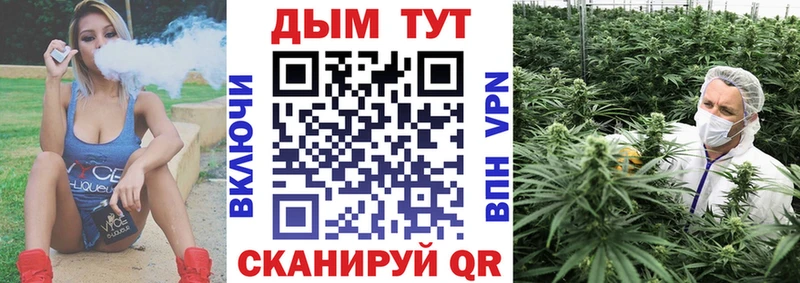 Марихуана план  Купить  Киржач 